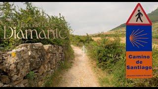 Es ROTSAMI - EL CAMINO DE SANTIAGO -  Hipnosis Regresiva Diamante