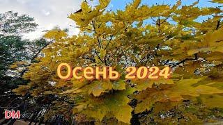 Осень 2024. Парк "Танаис" г. Воронеж