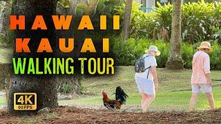 [4K]  Morning Serenity in Hawaii, Kauai | Walking Tour  #hawaii #kauai #travel #walkingtour