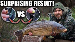 I Tested Pop Ups Vs Bottom Baits This is What Happened  (Winter Carp Fishing Bait)