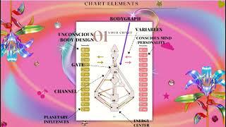 Human Design: The Anatomy of a Human Design Chart