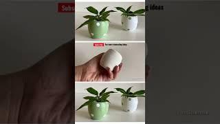 Mini planter diy with cement and plastic bottle … #shorts #ytshorts #diy #homedecor #pritisharma