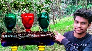 Colorful Garden from Plastic Bottles, Cute Vertical Garden Ideas|JAI TECH