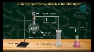 How to prepare carbon dioxide in the laboratory?