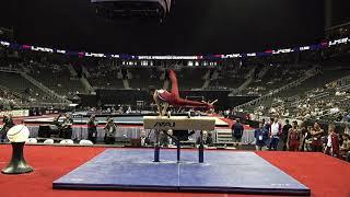 Asher Hong – Pommel Horse – 2019 U.S. Gymnastics Championships – Junior Men Day 1