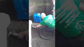 Химчистка ковра от СамКлин