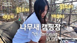 나무새 캠핑장 새소리 가득️ 24시 닭소리^^ 7th Camping VLOG / 4K / ENG SUBS