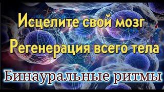 1000 Гц Бинауральные ритмы  | Исцелите свой мозг | Регенерация всего тела | Бинауральная медитация