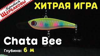 Как виб Chata Bee Jumprize играет на глубине 6 м. Хитрая игра! ПОДВОДНЫЕ СЪЕМКИ