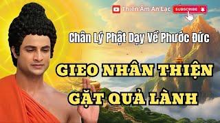 Gieo Nhân Thiện, Gặt Quả Lành: Chân Lý Phật Dạy Về Phước Đức