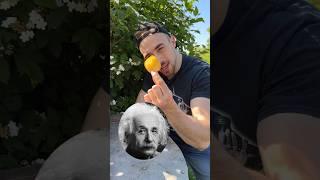 Теория вероятности Эйнштейна в реальной жизни