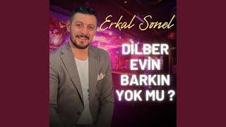 Dilber Evin Barkın Yok Mu ?