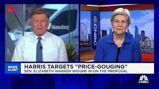 Sen. Warren on Harris' price gouging plan: Consumers need to know they've got somebody on their side