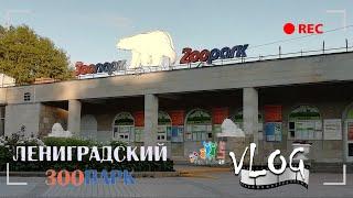 Ленинградский зоопарк.