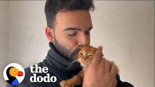 Guy Rescues A Stray Cat Every Time He Leaves The House  | The Dodo Heroes