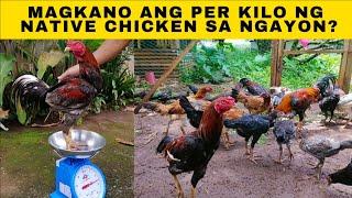 Magkano ang per kilo ng native chicken sa ngayon?