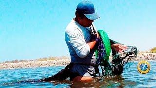 Fishing for mackerel