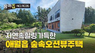 제주 자연속 힐링가득한 숲속 오션뷰 애월읍 단독주택 | 풀옵션주택 매매