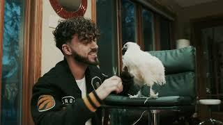 Saif Shawaf - Chicken Wing (Official Video)