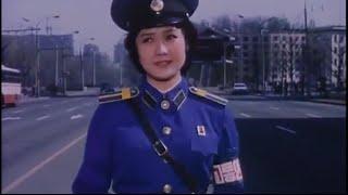 A Traffic Controller on Crossroads (North Korea)