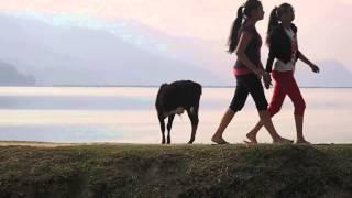 A cow's life - give it 40 secs