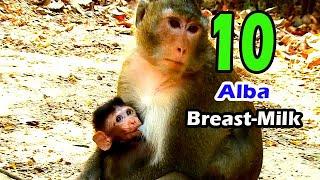 Full Day Full Milk Small Baby ALBa Breast Her Mum Anna | Very Fresh Day For Alba Life