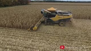 Corn Harvest - 2016