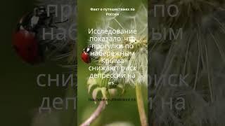 Мир Путешествий и Приключений ️ 4 #НашМир #путешествия #приключения