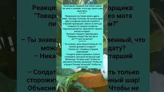 ПОДБОРКА АНЕКДОТОВ ПРО  ПРАПОРЩИКА #анекдоты #Юмор #История #Жизнь #Анекдот #Прикол #США