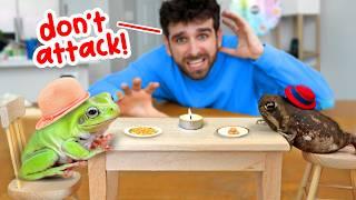I Made My Frogs MEET For The First Time... (IT WAS BAD)