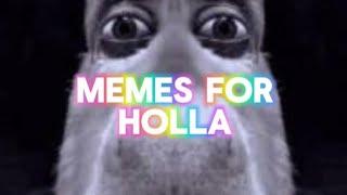 MEMES FOR HOLLA PT. 13 (800 SUB SPECIAL)