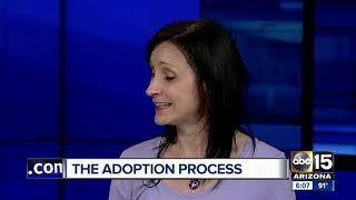 What should people interested in adoption look out for?