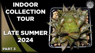 #Cactus & #Succulent Indoor Collection Tour | Late Summer 2024 | Part 3