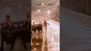 MODA+KAATI  UNBEATEN PAIR IN KAMBALA#SRIKANTH BHAT#TEAM NANDALIKE#CHAMPIONS#KAMBALA#VIRAL SHORTS