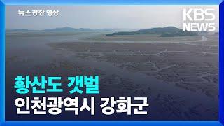 [뉴스광장 영상] 황산도 갯벌 / KBS  2023.06.29.