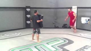 Andrei Arlovski This is Sparta Kick thru John Dodson