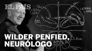 Wilder Penfield, el hombre que revolucionó la neurocirugía | Materia