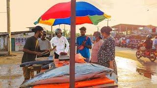 Wow !!! Biggest Street Fish Cutting Fish Market & Mr RASANGA MASTER FISH CUTTING SHOW