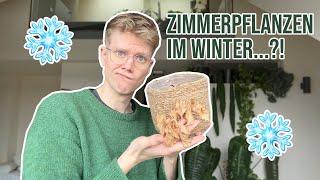 Zimmerpflanzen im Winter ?! | Pflegetipps + Repot with me