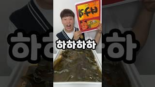 점보 너구리 라면?ㅋㅋㅋ (ft.대왕다시마)