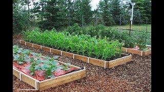 How to Build Raised Beds: Everyone Can Grow A Garden (2019) #8