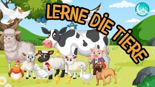 Tiere lernen für Kinder | Tierlaute Tiernamen Tierstimmen Tiergeräusche Kleinkinder