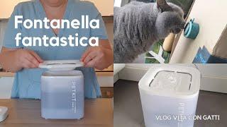 Petkit, la migliore fontanella per gatti | lecca lecca per gatti