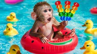 DoKi Monkey Eats Yummy Giant Rainbow Jelly Ice Cream At Watermelon Swimming Pool | DOKI MONKEY