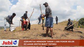 KOMUNITAS MENOKEN TANAM 1.000 POHON KELOR DI LAHAN KRITIS BUKIT YOTORO