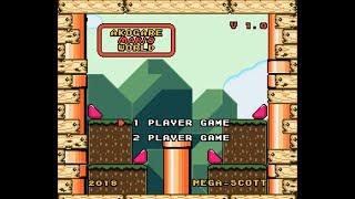 Akogare Mario World 100% in 29:54 [TAS]