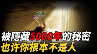 欺騙人類5000年，伏羲女媧不是神，而是真實存在的高等文明，人類起源說再次被推翻，也許你根本不是人| 腦補大轟炸