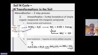 Week 5, Unit 5A, Video 11   How does N Mineralization Work