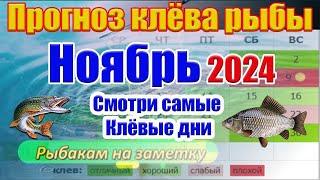 Прогноз клева рыбы на Ноябрь 2024 Календарь рыбака Прогноз клева рыбы на неделю Лунный Календарь