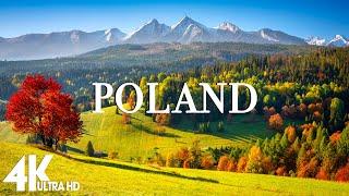 FLYING OVER POLAND (4K UHD) - Relaxing Music Along With Beautiful Nature Videos - 4K Video HD